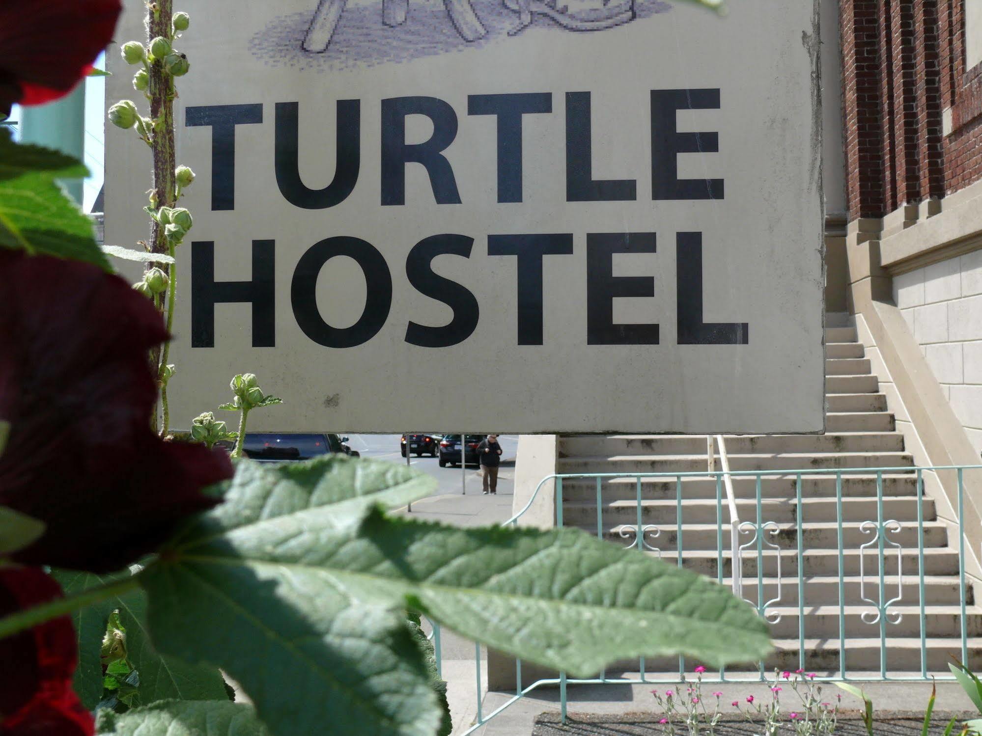 Turtle Hostel Victoria Bagian luar foto